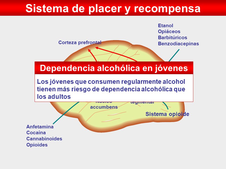 Que hacer que el hermano no bebía